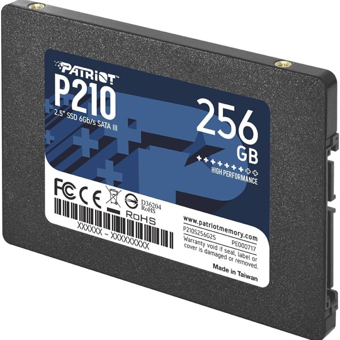 Patriot P210 256GB